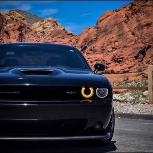 Meet your Posher, Ray